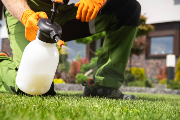 Best Pest Inspection Near Me  in Black River Falls, WI