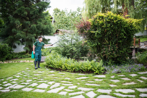 Flea Control Services in Black River Falls, WI