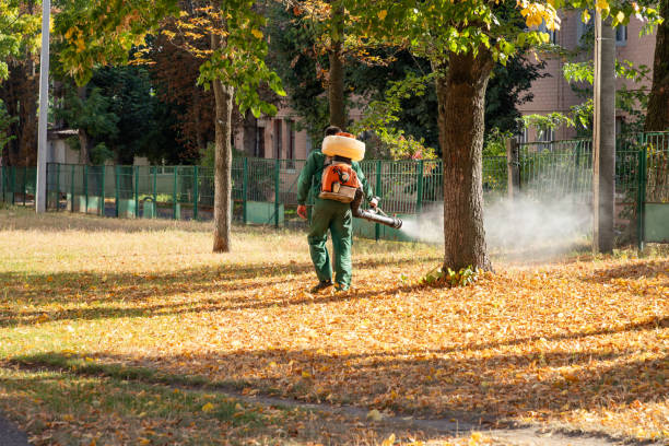 Best Best Pest Control Companies  in Black River Falls, WI